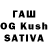 A PVP VHQ Nikita dog