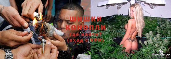 Альфа ПВП Ладушкин