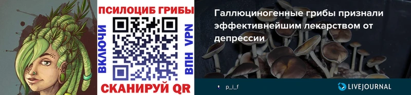 Псилоцибиновые грибы Magic Shrooms  Купить где  Пласт 